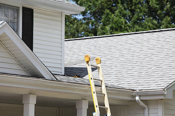 Best Shed Removal  in Briarcliff Manor, NY